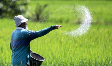 BPS Catat Nilai Tukar Petani Turun 0,21 Persen