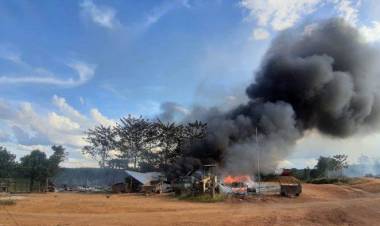 PT Samhutani Bantah Pecat Karyawan, Hendri: Cuma Hentikan Sementara