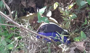 Warga Monti Sarolangun Geger, Sesosok Mayat Diduga Warga Bengkulu Ditemukan  