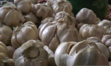 Mantan Mentan: Bulog Tak Perlu Impor Bawang Putih Lagi