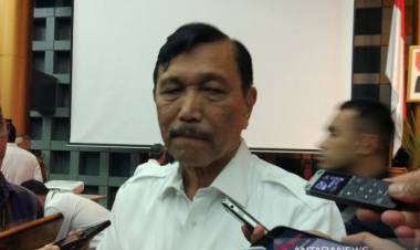 Luhut: Maskapai Asing Masuk Indonesia Kita Pelajari