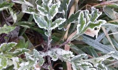 Fenomena Embun Upas Destinasi Wisata Baru Dataran Tinggi Dieng