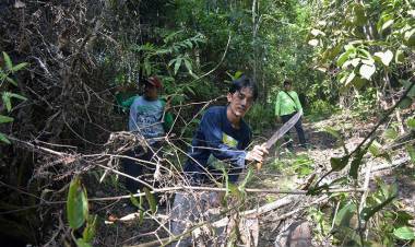 Hutan Rimbang Baling Riau Kini Dijaga Pengawal Adat Dubalang