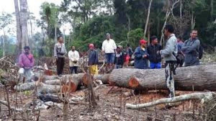 KLHK Buru Cukong Perambah Kawasan Hutan Bengkalis