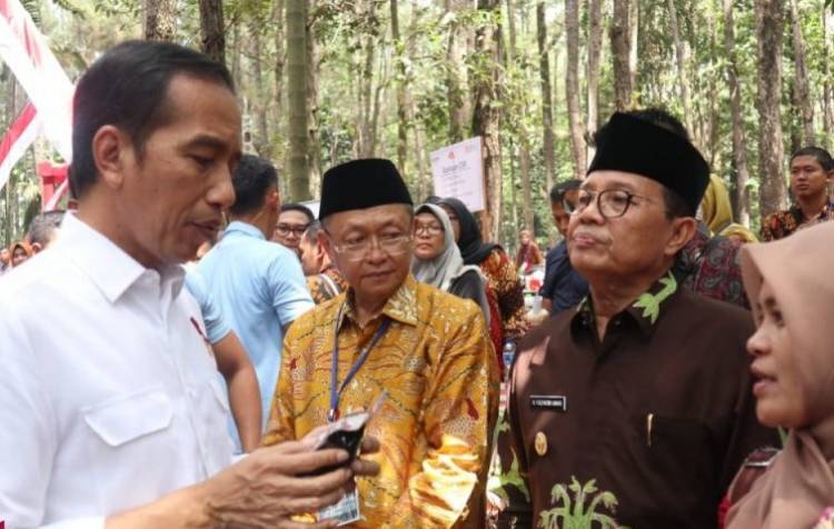 Jokowi: Mana Tadi Mau Nanam Sawit, Kan! Banyak Bisa Ditanami
