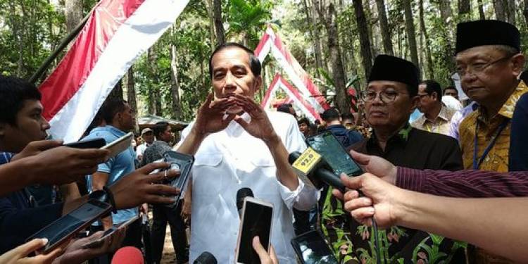 Dari Kayu Manis Hingga Petai Jambi Jadi Perhatian Presiden Jokowi 