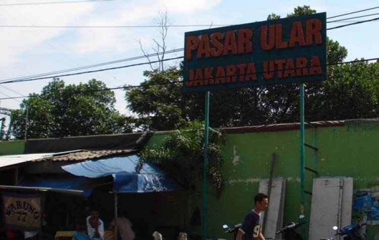 Menjelajah Tempat Bersejarah di Ujung Utara Kota Jakarta