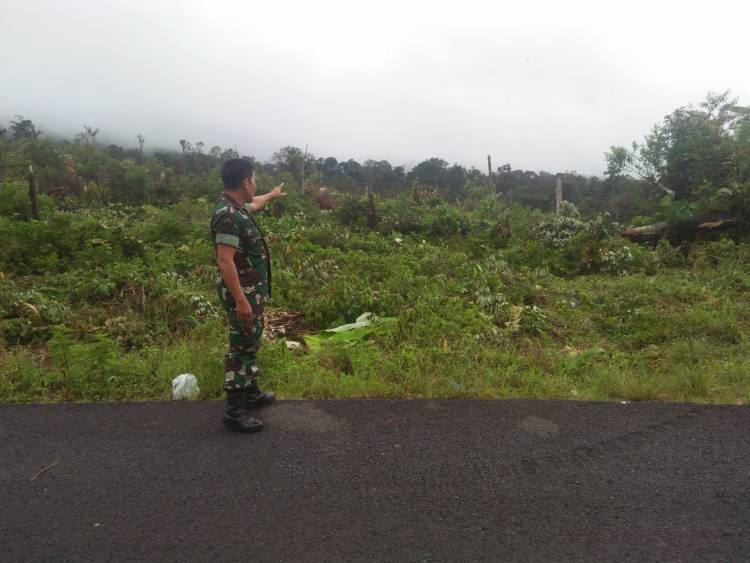 Lagi! Perambah Hutan Garap Wilayah Renah Alai Merangin