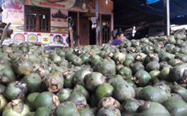 Jelang Puasa, Harga Kolang-Kaling Mulai Merangkak Naik