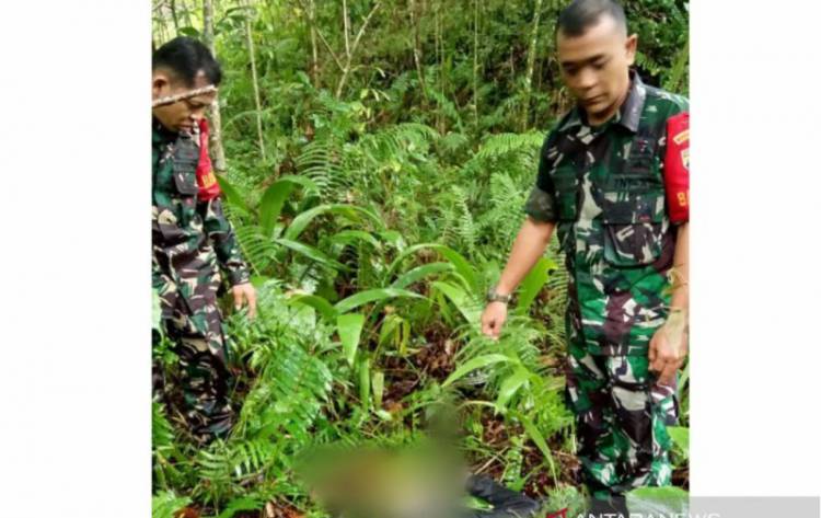 Pendamping Desa Ditemukan Tewas di Kebun Warga