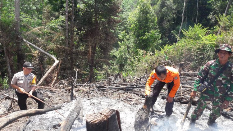 Di Merangin Kebakaran Lahan Terjadi, Petugas Buru Pelaku