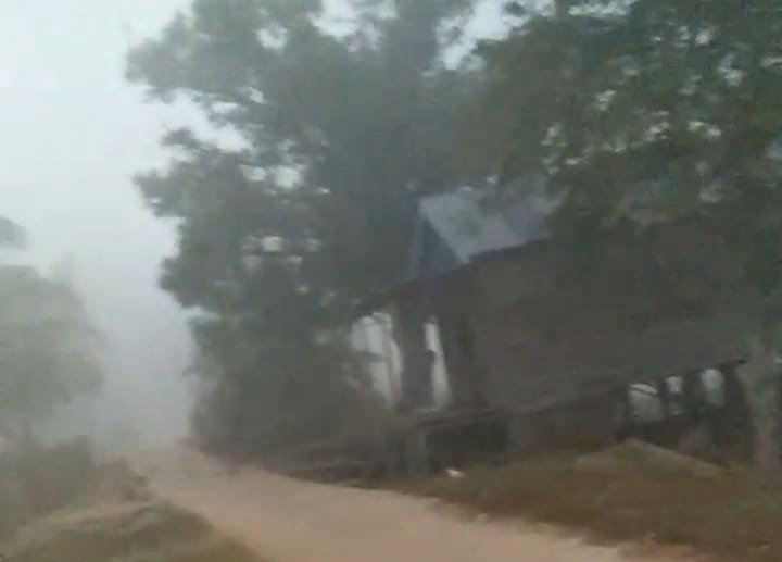 Lapor Ibu Bupati Kabut Asap Kian Tebal di Kumpeh, Jarak Pandang Berkurang