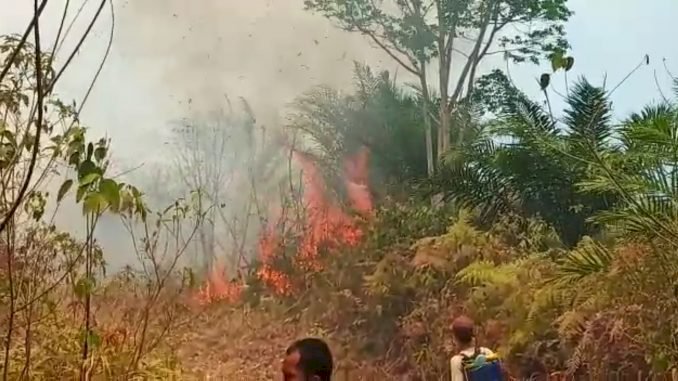 Lapor Pak Bupati! Tiga Hari Kebakaran Lahan Karak Apung Akses Jalan Tak Ada