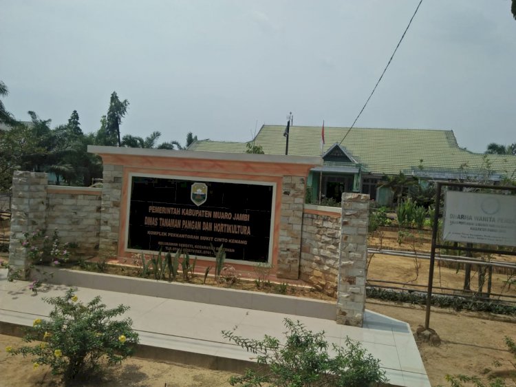 Lapor Bupati Masnah! Duit DAK Fisik Rp3 M Mengendap di Kasda dan Tak Bisa Dicairkan