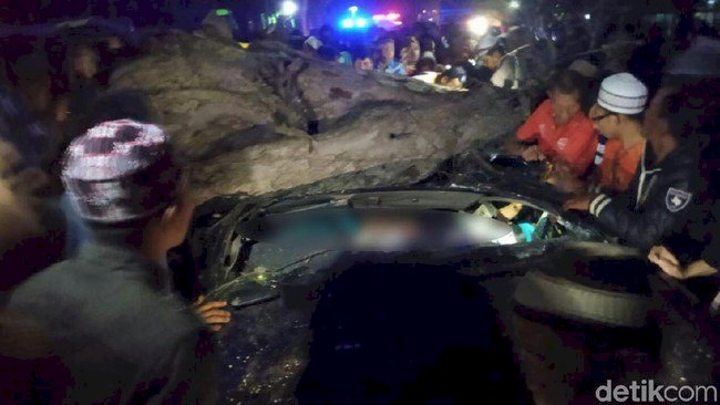 4 Penumpang Tewas, Mobil Tertimpa Pohon Asam Tumbang