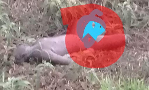 Polisi Ungkap Identitas Mayat di Kotakarang Kumpeh Ulu