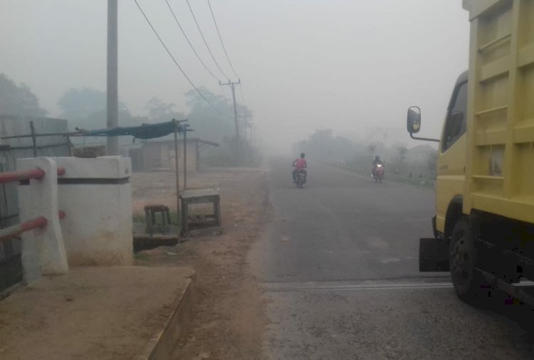 Mulai Besok Siswa Diliburkan, Kualitas Udara di Muarojambi Tidak Sehat