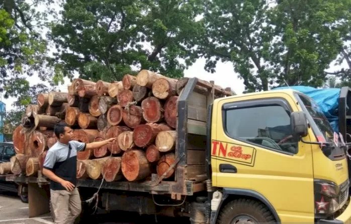 Polri tangkap Apeng, Bigbos Pembalakan Liar di Jambi