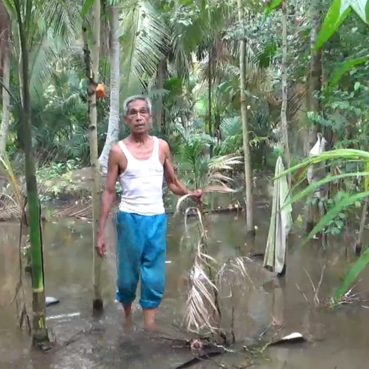 Anak Sungai Dibendung, Puluhan Hektare Kebun Warga Terancam Mati