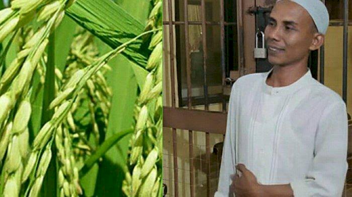 LSM NGO HAM: Kami Minta Kementan Selesaikan Kasus Hukum Benih Padi IF8