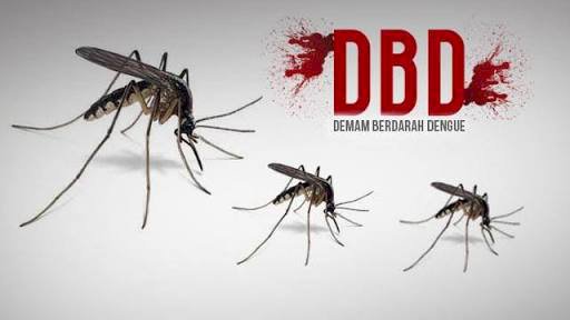 Penanganan Lamban, Satu Penderita DBD Meninggal Dunia di Tanjab Barat