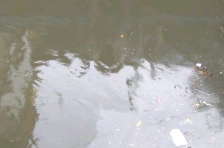 Tanggul Kali Sekretaris Tanjung Duren Bocor, Begini Kondisinya