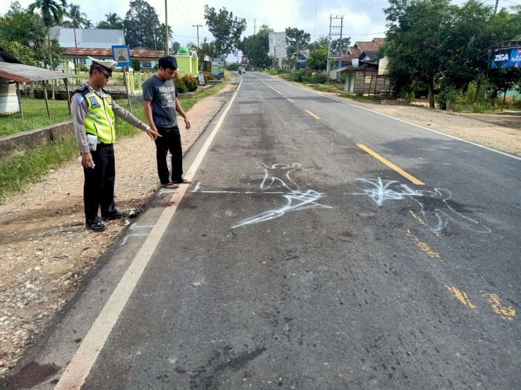 Tabrak Truck yang Berhenti, 2 Pengendara Motor Tewas