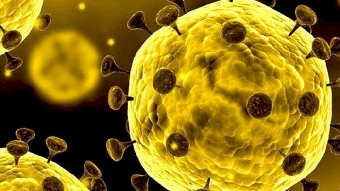 Satu Orang Suspect Virus Corona, Kini Diisolasi di RSPI