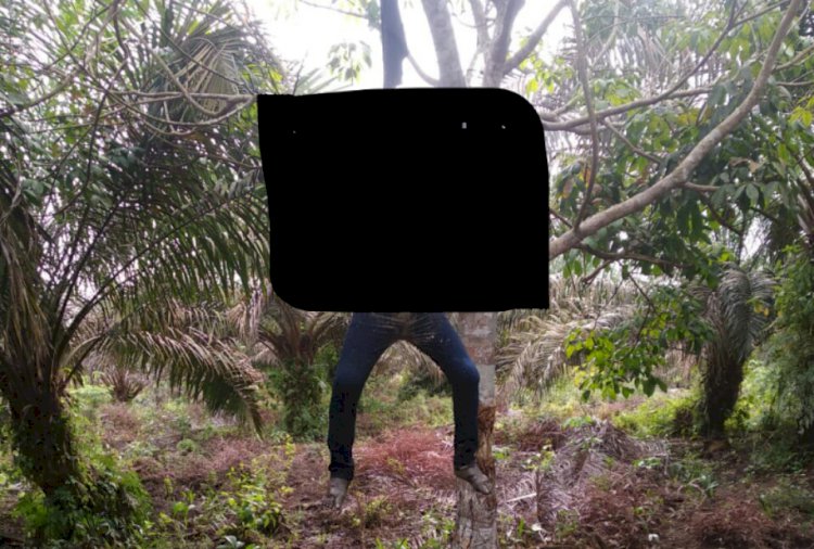 Geger, Warga Muntialo Tanjab Barat Temukan Mayat Membusuk Tergantung di Pohon