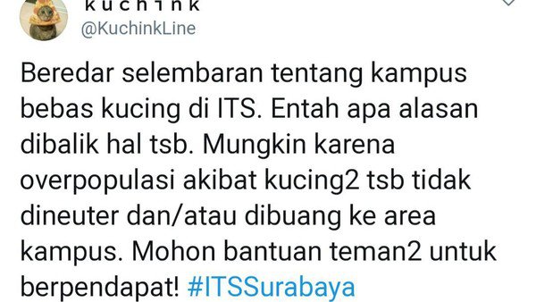 Viral Soal Edaran 26 Februari Bebas Kucing di ITS, Begini Tanggapan Pro Kontra Netizen