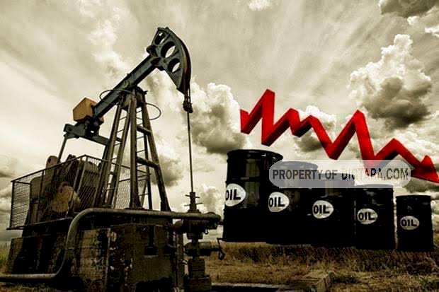 Harga Minyak Dunia Galau, Anjlok Hingga 30 Persen